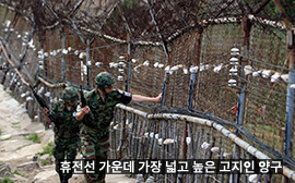 휴전선 가운데 가장 넓고 높은 고지인 양구