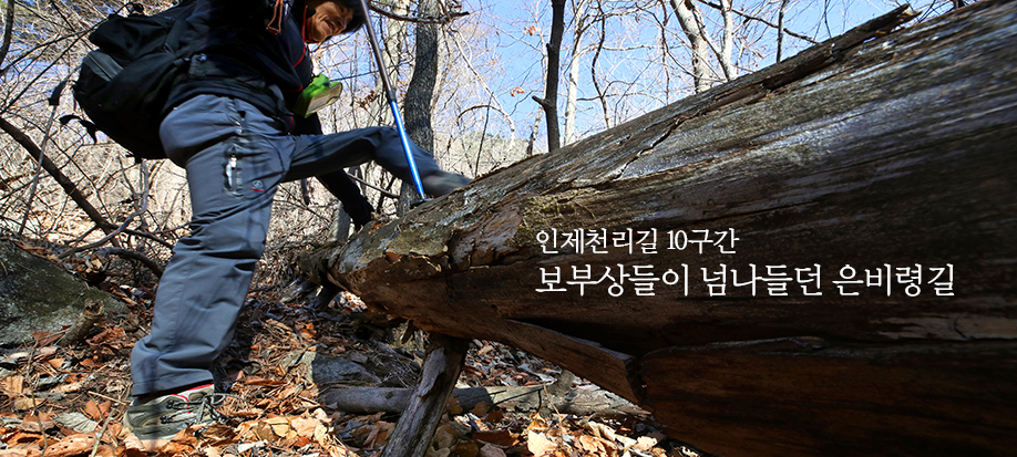 pdf 다운로드