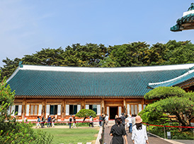 걷고 싶은 길